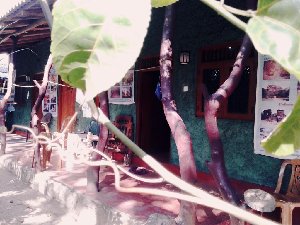 Blue Sky pensión Dambulla Exterior foto